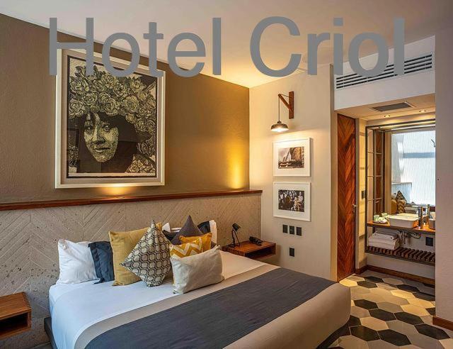 Hotel Criol Querétaro Exteriér fotografie
