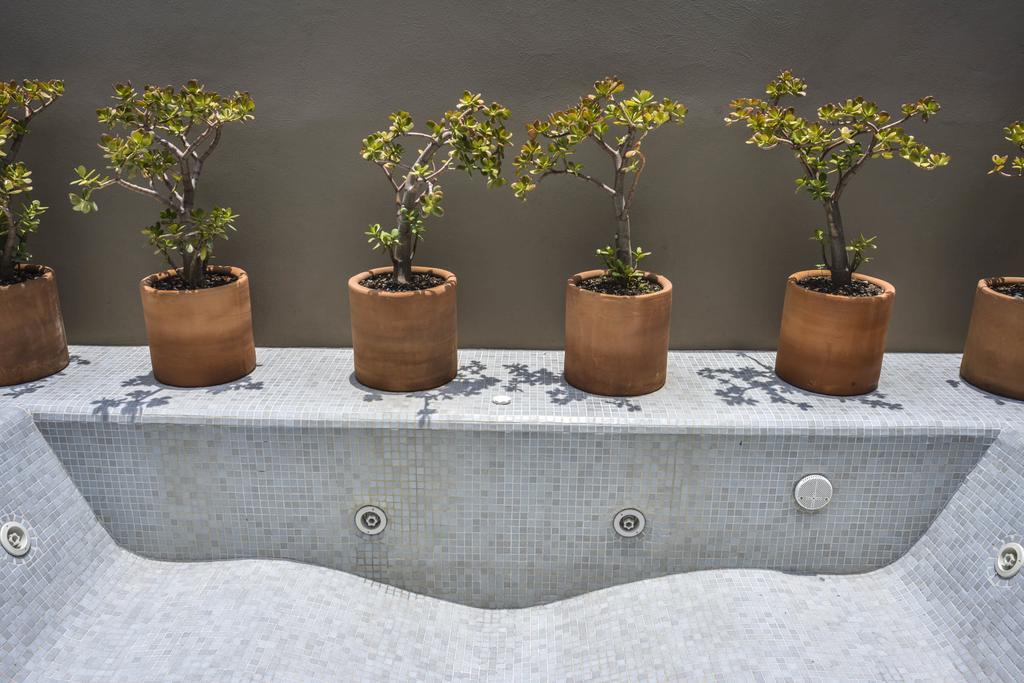 Hotel Criol Querétaro Exteriér fotografie Plants in a hydroponic system